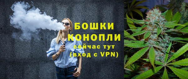 шишки Нефтекумск