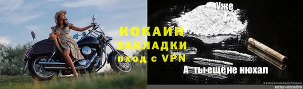 шишки Нефтекумск