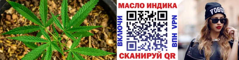 Купить где  Алдан  Дистиллят ТГК Wax 